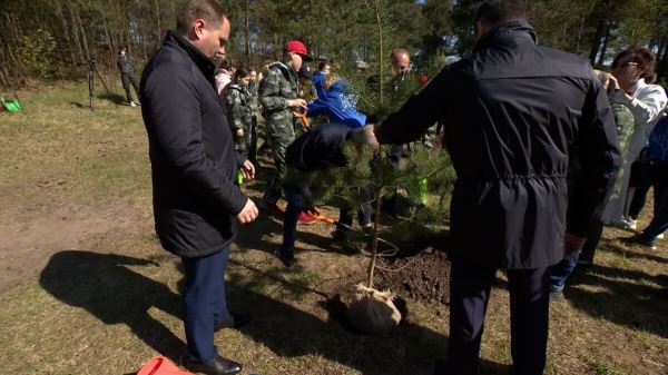В Санкт-Петербурге в рамках акции «Сад памяти» высадили более 2 тысяч деревьев