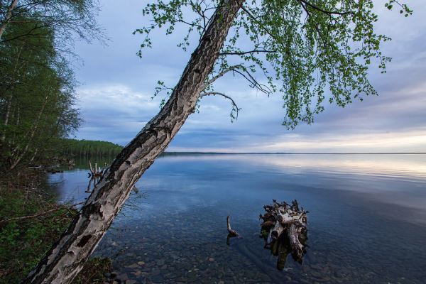 Общественного доступа к челябинским озерам добились через суд
