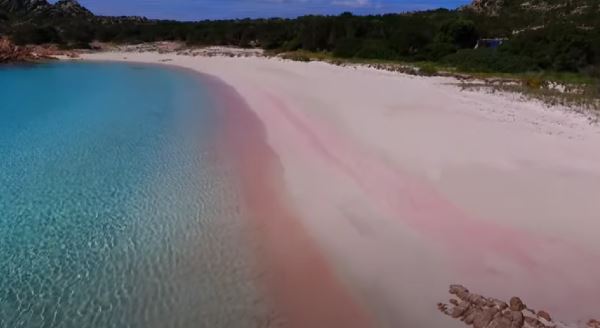 Туристам могут влепить штраф в 276’000 рублей за воровство розового песка на пляже
