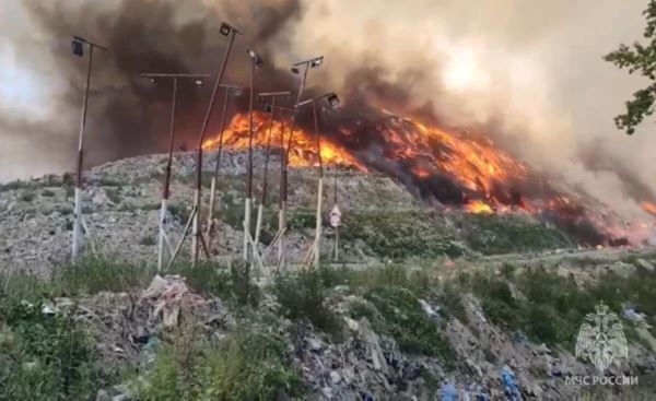 <br />
						Причиной пожара на свалке в Калининградской области стал поджог
