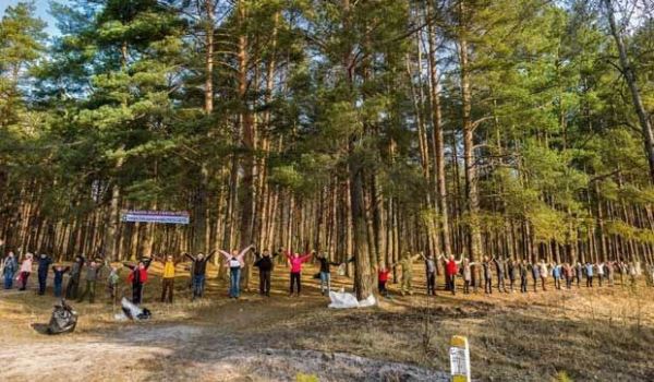 <br />
						Жители Брянска пытаются спасти Сосновый лес