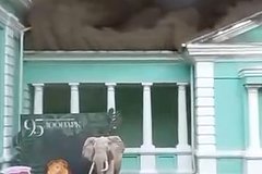 Началась эвакуация животных из горящего в Ростове-на-Дну зоопарка